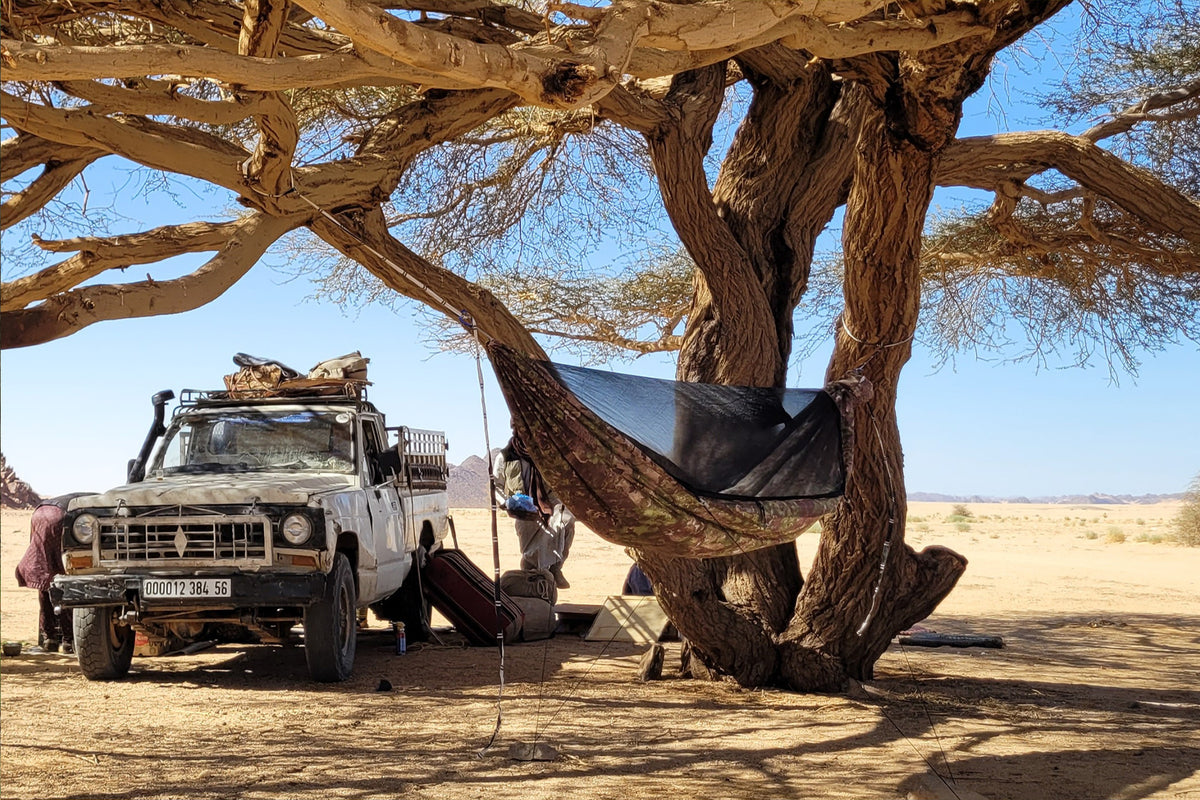 LESOVIK DRAKA FARBA F2.1 Hängematte am Baum bei einer Safari aufgebaut