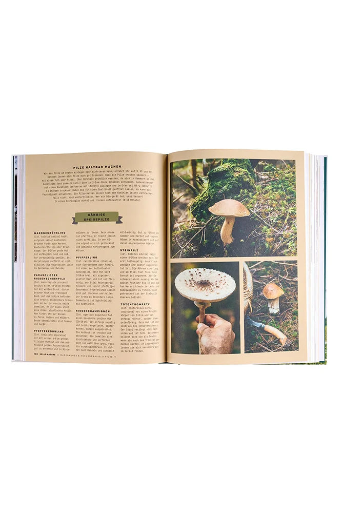 Markus Saemmer The Great Outdoors Hello Nature Kochbuch fuer Feuerstelle Campkueche und Natur