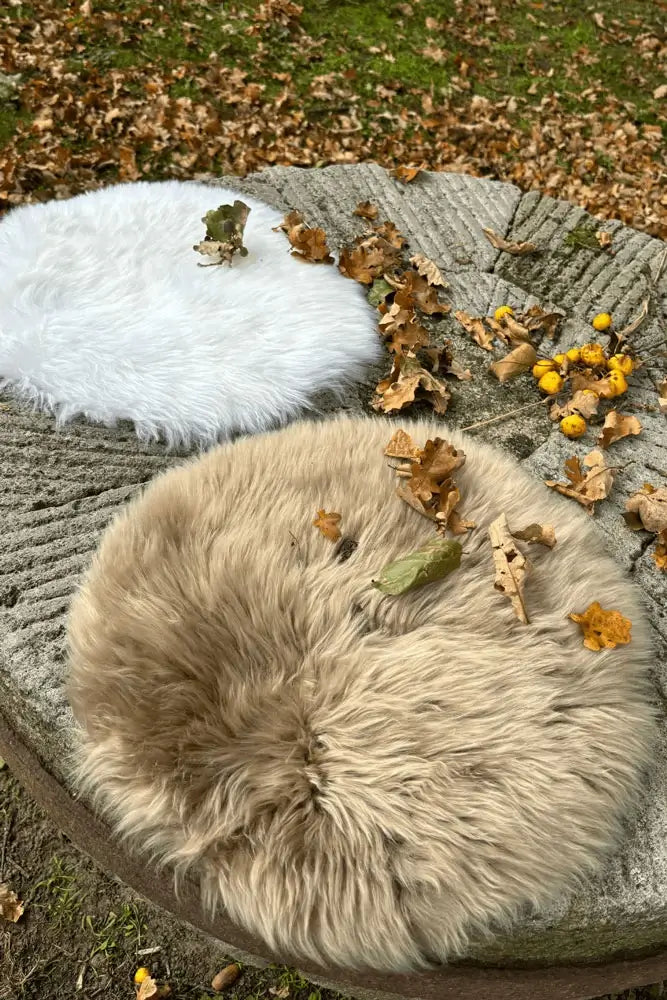 Premium Schaffell Sitzauflagen rund Größe L – Farbvergleich der Varianten Taupe und Naturweiß aus australischem Merino-Fell – Fritz & Frei