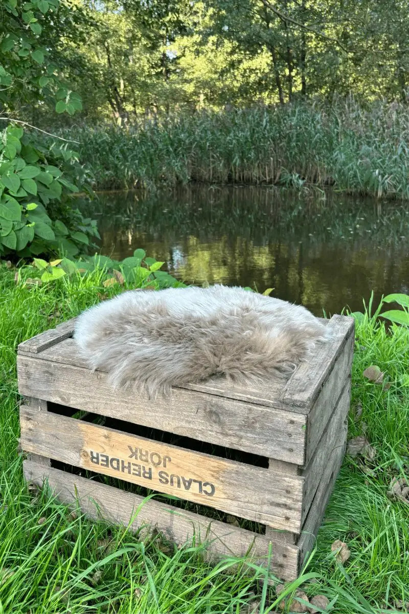 Premium Schaffell Sitzauflage rund in Taupe Größe L – australisches Merino-Fell im Outdoor-Einsatz auf Gartenstuhl oder Terrasse – Fritz & Frei“