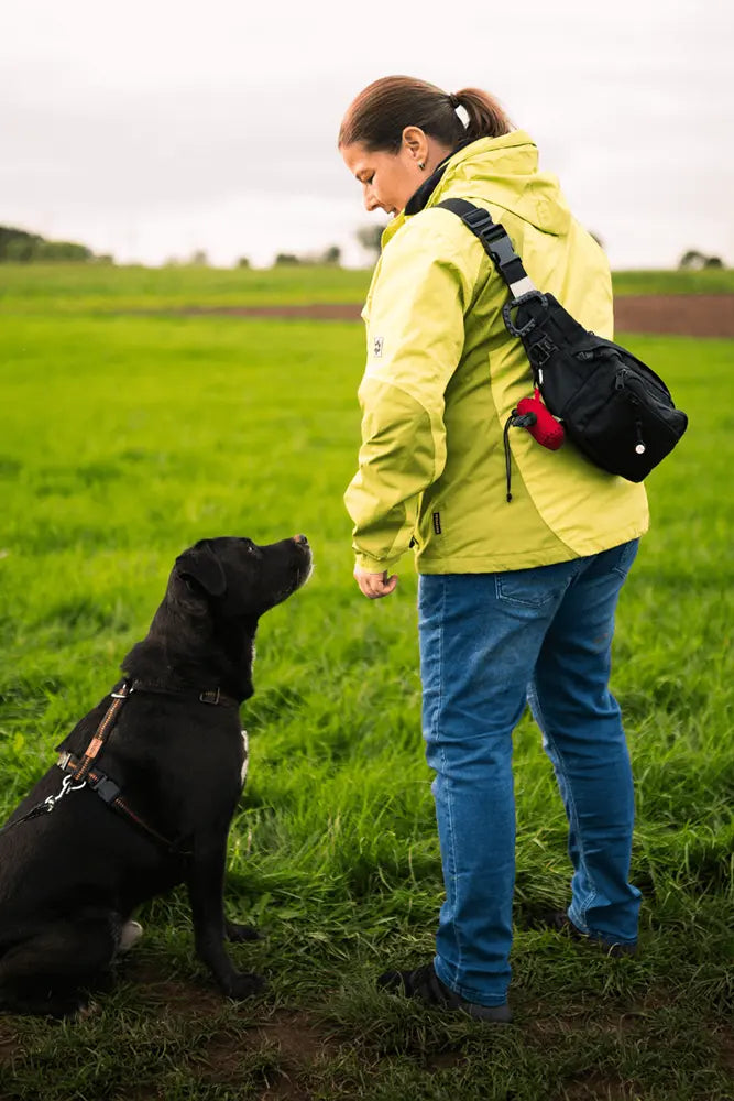 Tambe Molle Adapter Komplett Set praktisches Zubehoer fuer Hundetaschen und Outdoor
