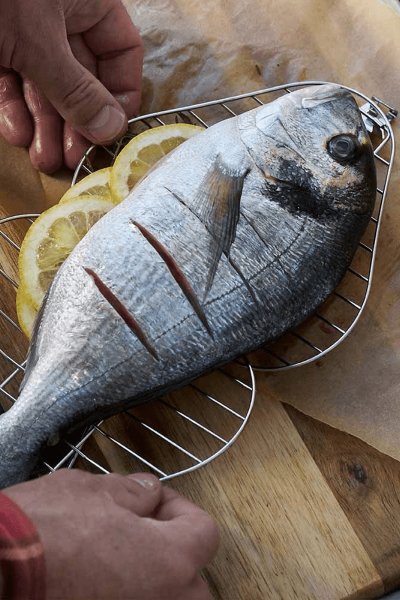 Opas Feuergrill Grillaufsatz von Light my Fire für Fisch