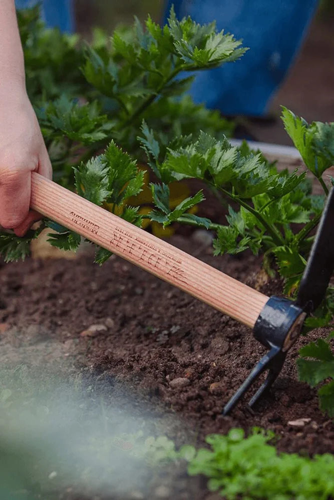 Adler vielseitige Gartenhacke Lily 2 zinkig zuverlaessige Hacke fuer Hausgarten und Naturfreunde