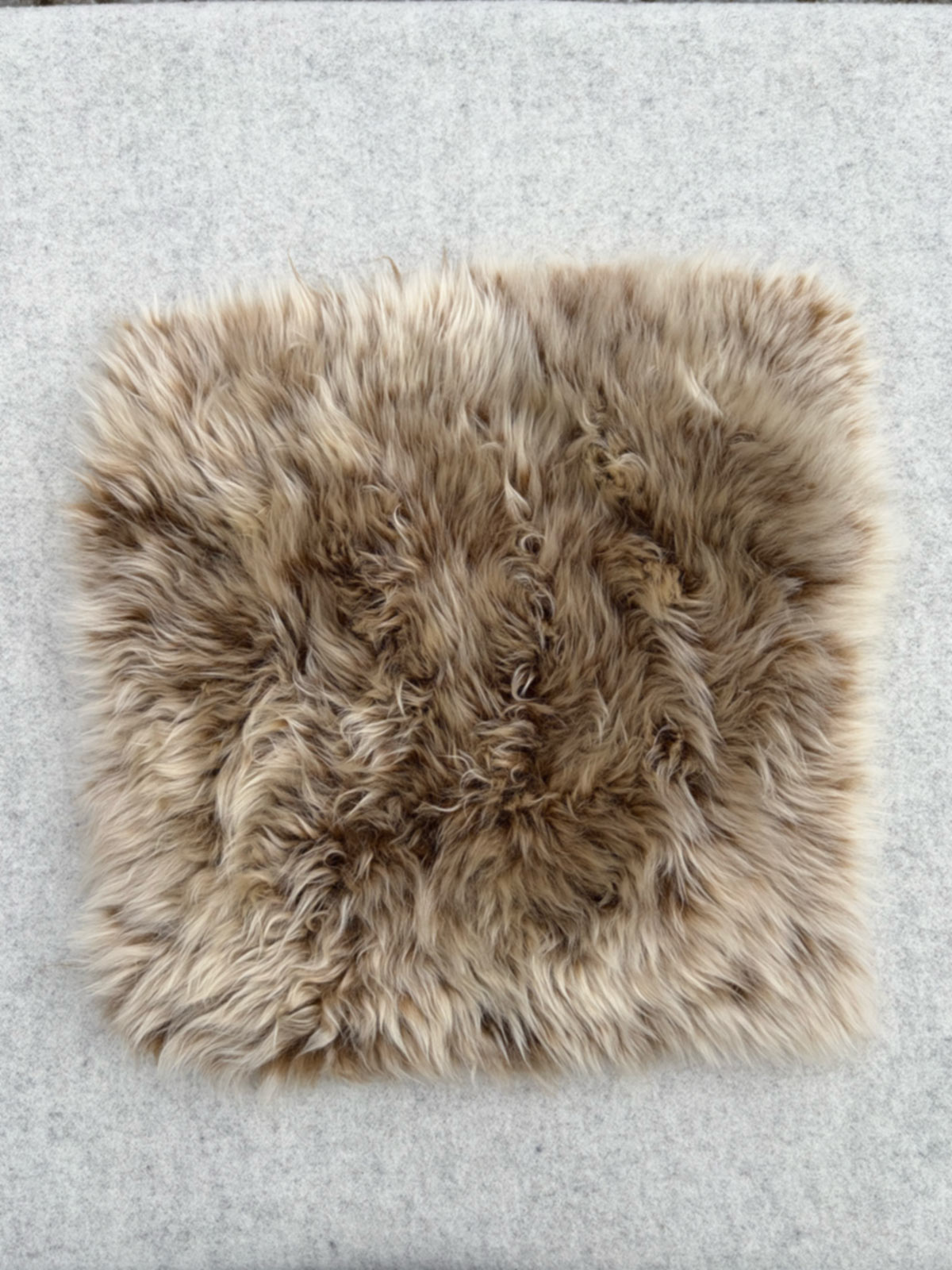 Schaffell-Sitzauflage eckig, 35 x 35 cm, in Cappuccino, Produktfoto