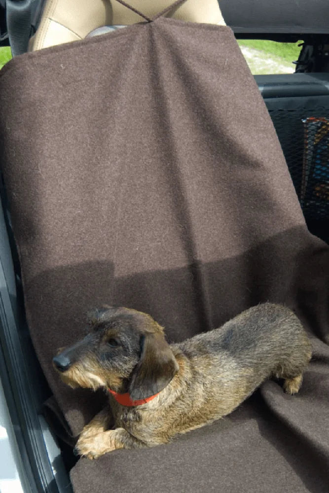 Hubertusloden Allrounddecke mit Hund im Auto als Schutz fuer Sitz und Fell im Outdoor Einsatz