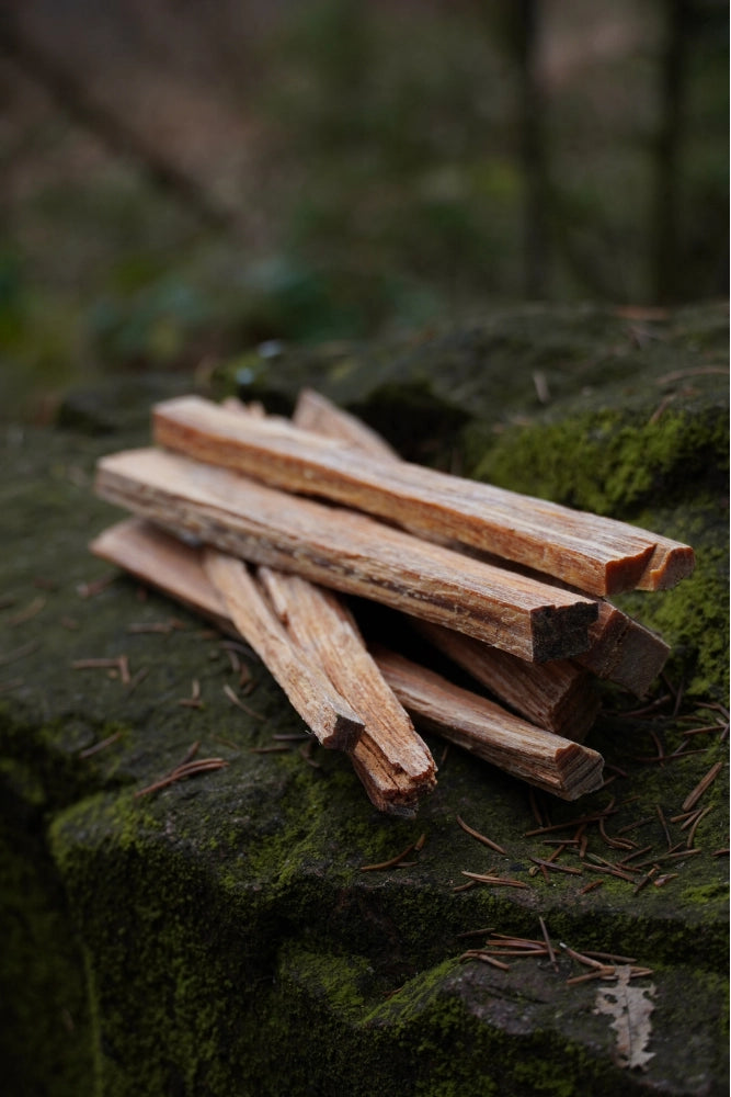 Light My Fire TinderSticks 200 g – natürliche Feueranzünder aus Fatwood