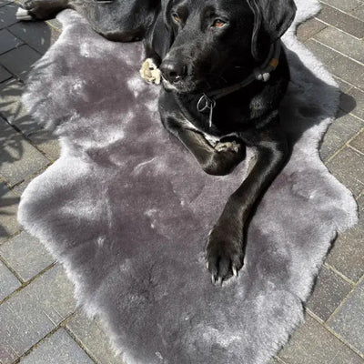 Fritz & Frei Hundeplatz aus geschorenem Schaffell, ca. 110 x 70 cm, OEKO-TEX zertifiziert, für Camping, Garten und Fahrzeugsitz
