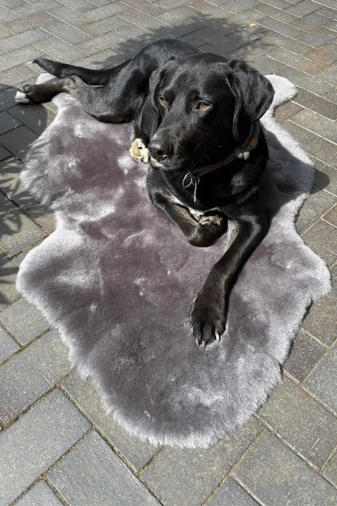 Merinofell Hundeliegedecke in Anthrazit – Outdoor-Einsatz im Garten, auf der Terrasse oder beim Camping, natürliche Hundedecke aus Merino-Fell – Fritz & Fre