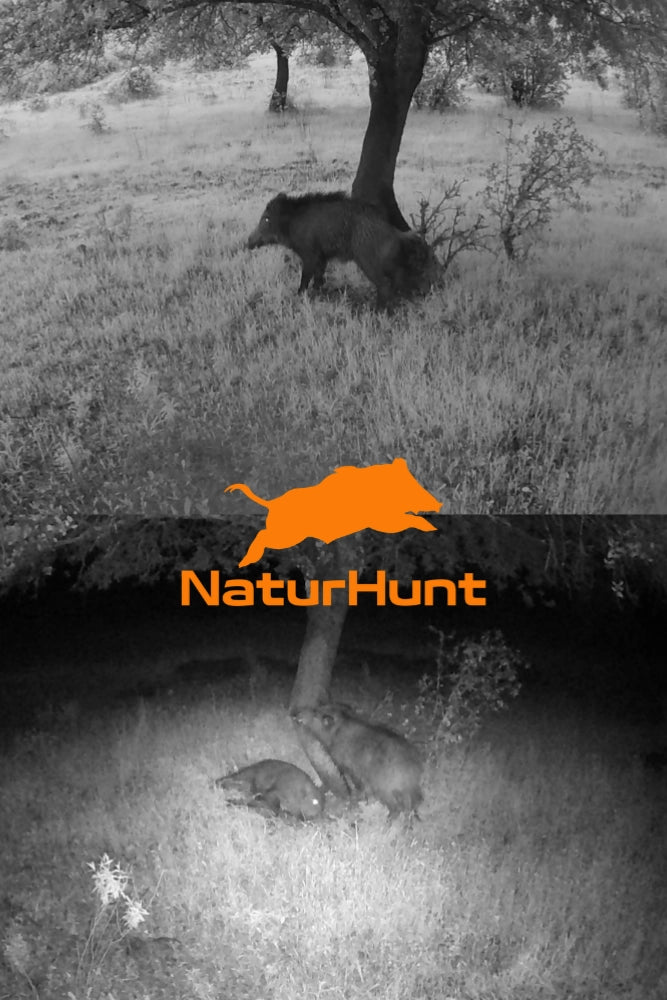 Naturhunt Flüssig-Lockstoff, Produktansicht