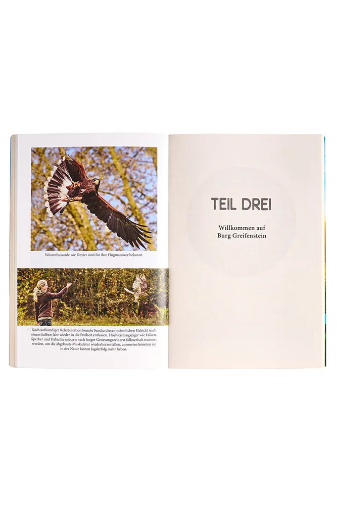 Sandra Jung Die Herrscher der Luefte und ich Innenseiten des Buches mit Illustrationen und Text