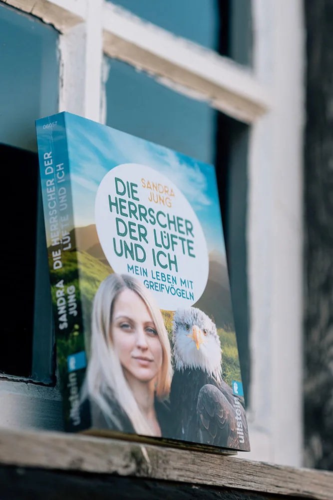 Sandra Jung Die Herrscher der Luefte und ich aus der Perspektive eines Buchmotivs