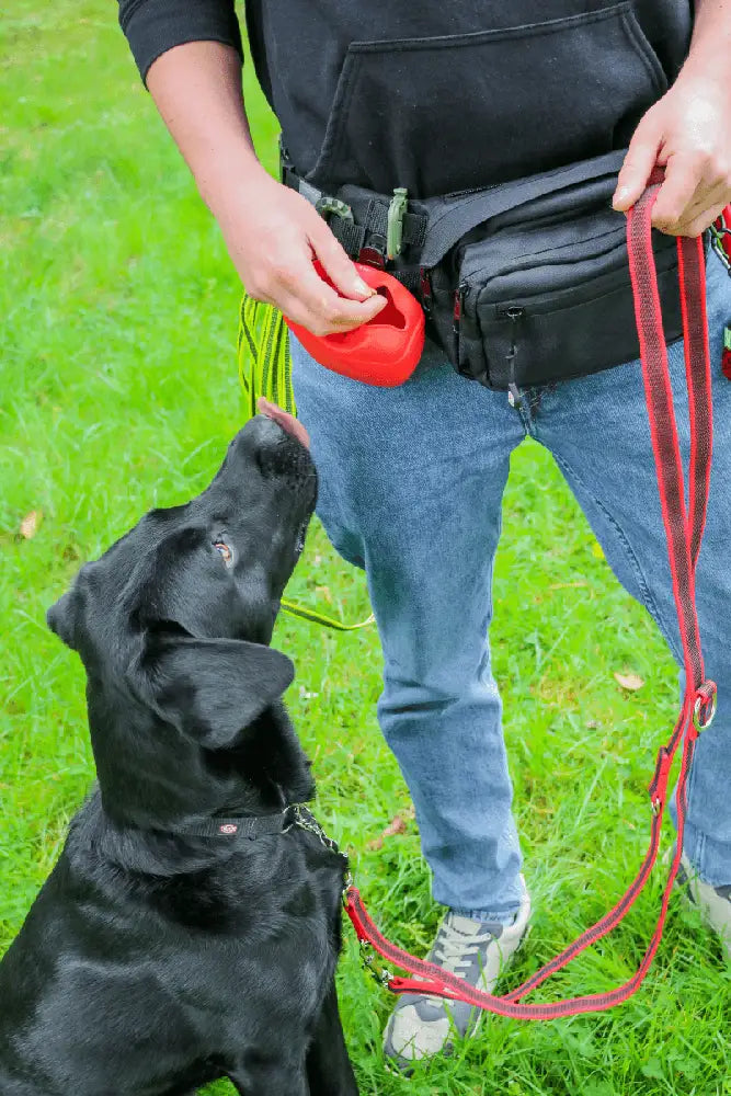 Tambe Bag Futterbeutel Silikon hygienischer Leckerlibeutel fuer Outdoor und Alltag