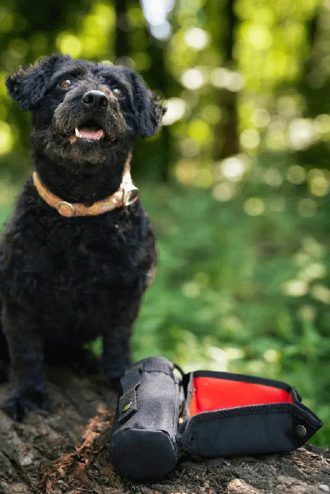 Tambe Gassitasche Komplett Set fuer Hundetraining mit Leckerlis und Zubehoer